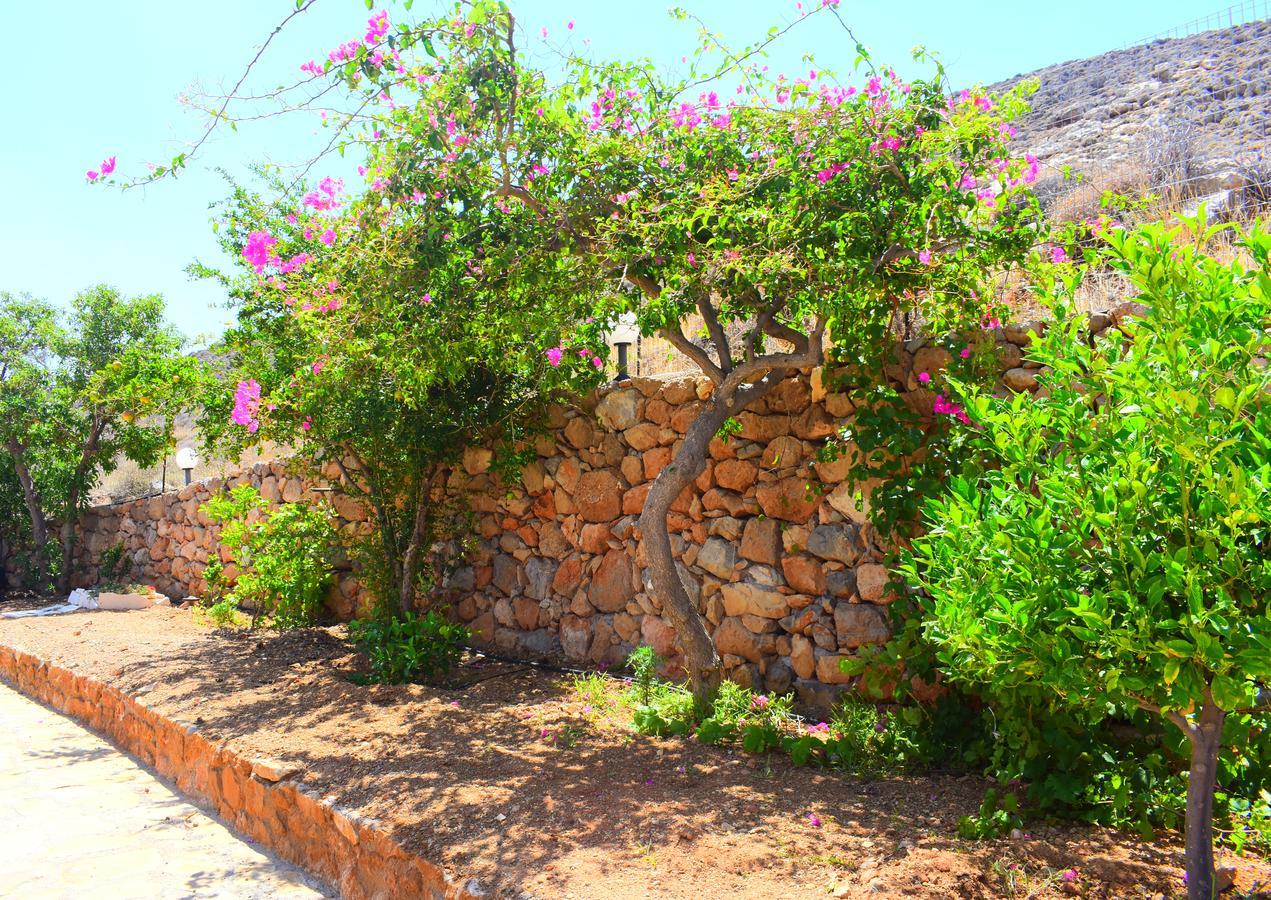 Asteras Apartments Xerokampos  Bagian luar foto